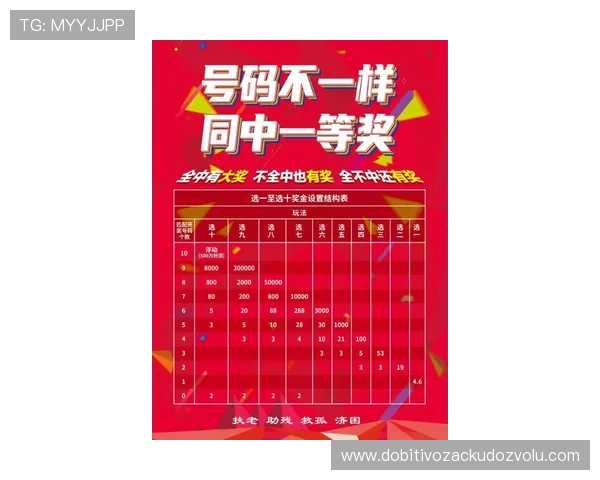 新宝彩票游戏类型全面介绍涵盖多种热门玩法满足不同玩家需求